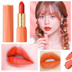 Hooux Orange Lipstick Velvet Matte Lipsticks Waterproof Long Lasting Lip Stick Velvet Lip Tint Women Cosmetic Sexy Lip Glaze Makeup