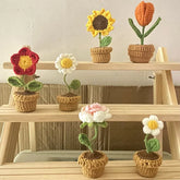 Hooux DIY Handwoven Mini Potted Flower Rose Office Desktop Ornamental Potted Plants Woolen Thread Finished Product Home Decoration
