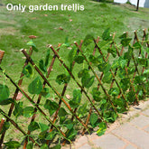 Hooux 1/10Pcs Retractable Garden Screening Expanding Trellis Privacy Screen Hedge Wooden Fence for Garden Plants Vines Wall Guardrail